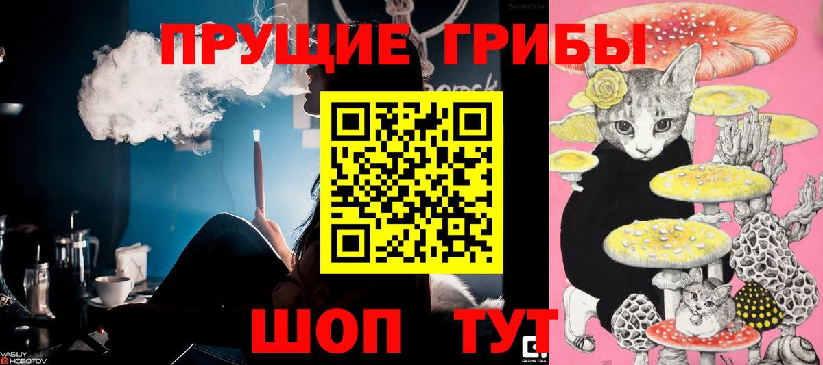Псилоцибиновые грибы мицелий  как найти наркотики  Курск  Вход с VPN  Галлюциногенные грибы GOLDEN TEACHER 