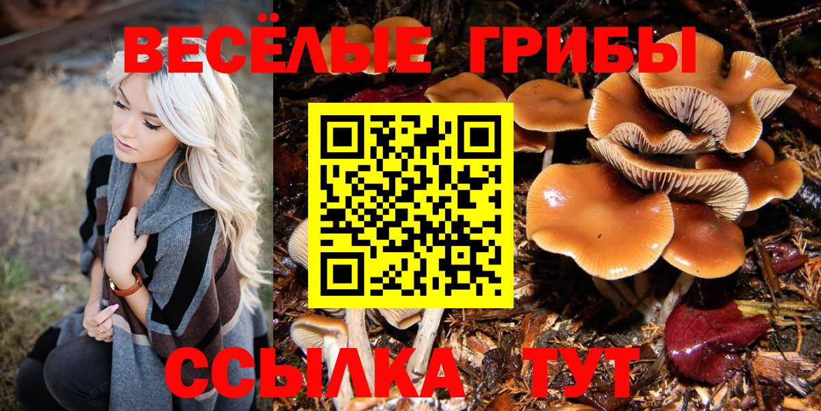 Галлюциногенные грибы мицелий Курск